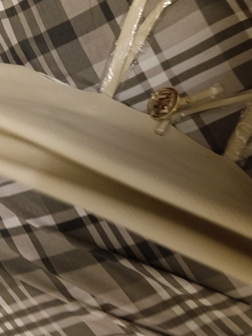 Badgley Mischka Cream Tote with Gold Logo Accent